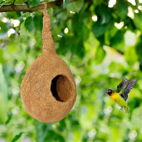 Ekan Safest Round Organic Hanging Bird Nest Chidiya Ka Ghonsla Purely ...