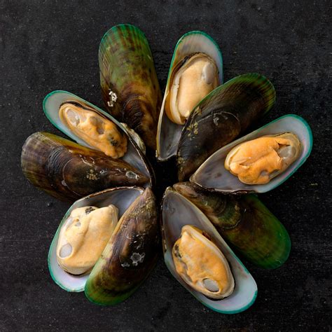 New Zealand Mussels