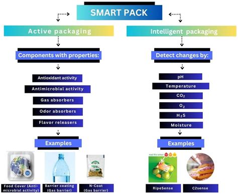 Nanotechnology in Packaging for Food Industry: Past, Present, and Future