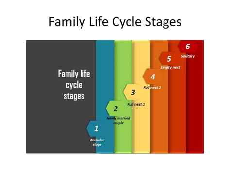 Family Life Cycle Stages