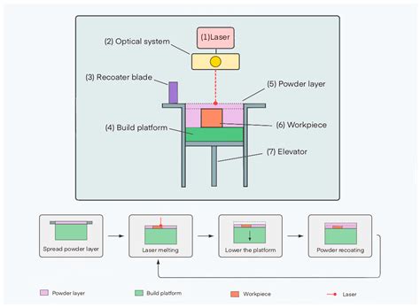 Additive Manufacturing of Biodegradable Metallic Implants by Selective ...