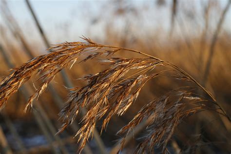 Quiet 的图像结果