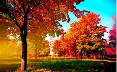Autumn Pc Wallpaper by Fall Wallpapers Hd Pixelstalk Net Autumn Pc Wallpaper