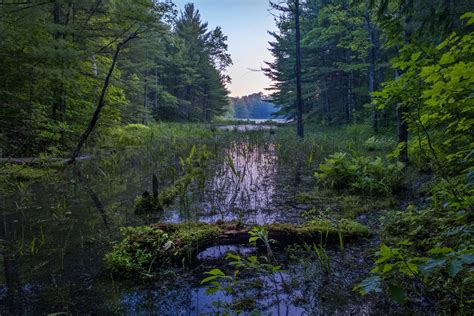 Pristine Ponds And Wetlands at Thomas Wake blog