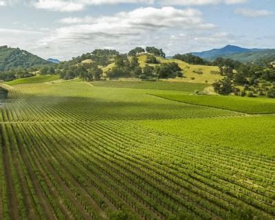 Mediterranean Climate - Geography Notes