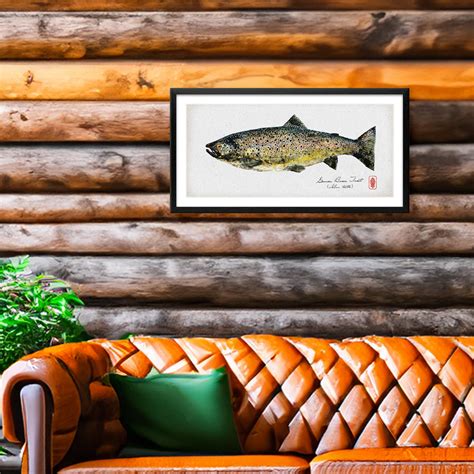 German Brown Trout – Pacific Gyotaku