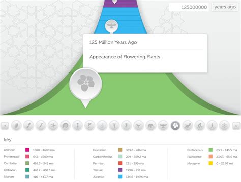 Evolution Timeline 的图像结果