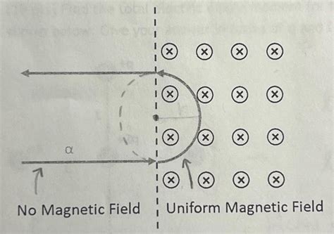 Alpha Particle 的图像结果