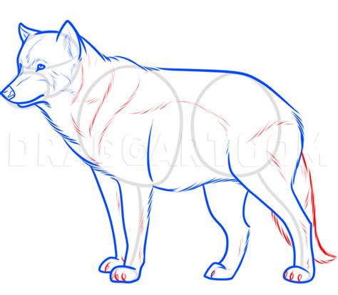 Image result for Wolf Tutorial