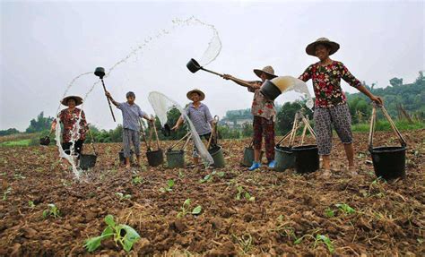 安徽：首批农民领到承包地“身份证”_图片_新闻_中国政府网