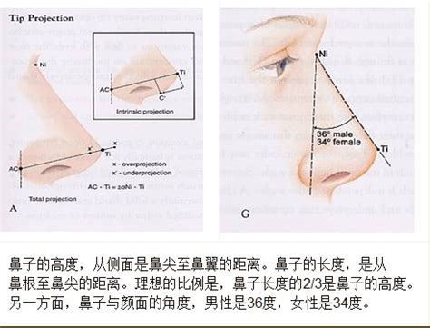 隆鼻手术有哪些 台北风华整形外科诊所-台湾游