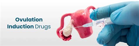 Ovulation Induction Drugs: Types, Success, and Side Effects