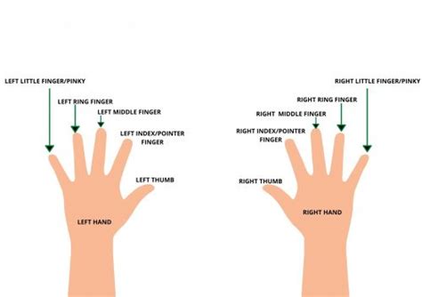 Image result for Left Hand Ring Finger