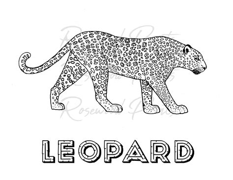 Cheetah Print Coloring Page