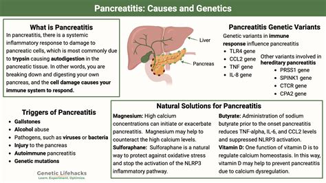 Causes Of Elevated Amylase And Lipase Activity Lab Answer Key - Infoupdate.org