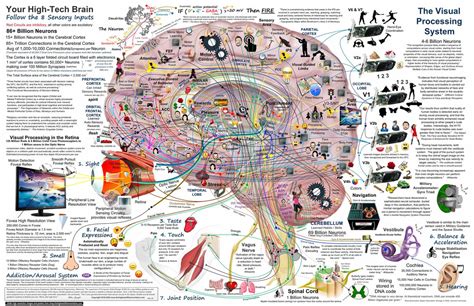 Brain Map Example 的图像结果