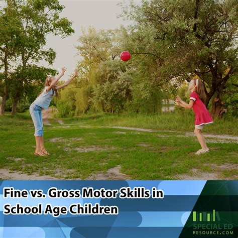 What Are The Fine And Gross Motor Skills - Infoupdate.org