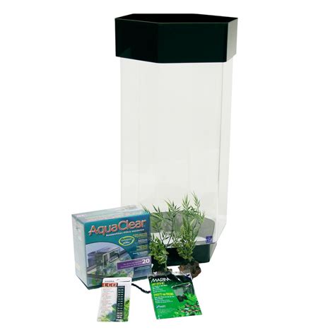 Hexagon Aquarium 20 Gallon at Chloe Shipp blog