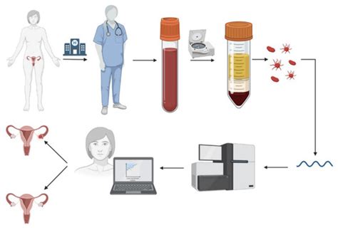 Cancers | Special Issue : Bioinformatics in Cancer Diagnostics and ...