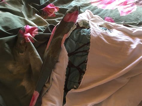 THE PANGONG INN (Lukung) - Hotel Reviews & Photos - Tripadvisor