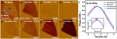 Probing Polymorphic Stacking Domains in Mechanically Exfoliated Two ...