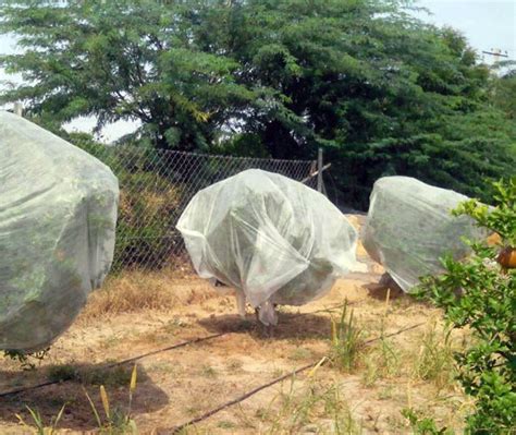 Crop Cover – Agri-Route