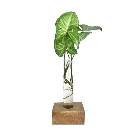 Muma Interior Design 的图像结果