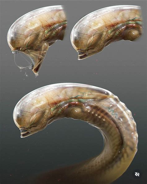 Image result for Alien in Chest