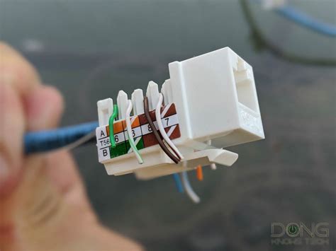 How to Set Up a LAN Network 的图像结果