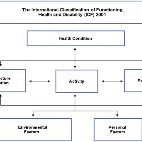 Image result for International Classification of Functioning Scoring