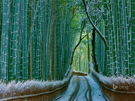 Bing Wallpaper Japan 的图像结果