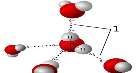 水分子 的图像结果