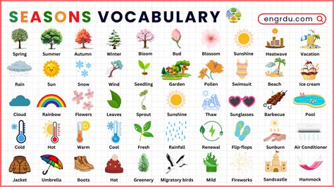 100 Beautiful Seasons Vocabulary Words in English with Pictures - Engrdu