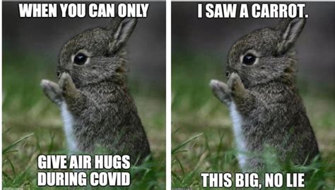Choose Your Memes Carefully. They Might Change Your Mood. - Social Good