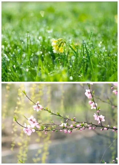 春天的季节描写一段话,用一句话概括写春天,春天来了写一段话_大山谷图库