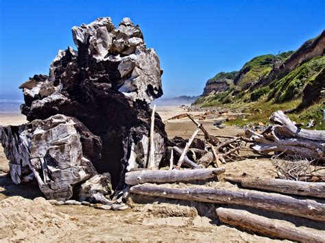 Thom Zehrfeld Photography : Brian Booth State Park | Ona Beach