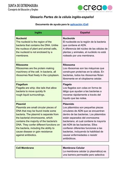 Glosario partes de la celula ingles -español | PDF