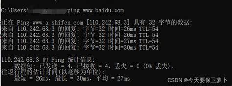 Ping IP: 192.168.0.110 | IP地址 (简体中文) 🔍