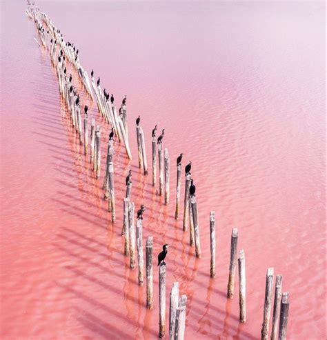 Colorful World 的图像结果