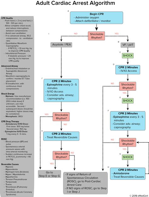 ACLS Algorithms 2020 的图像结果