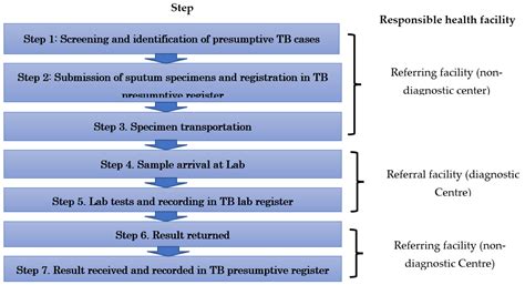 Losses in the Sputum Specimen Referral Cascade in Mpulungu District ...