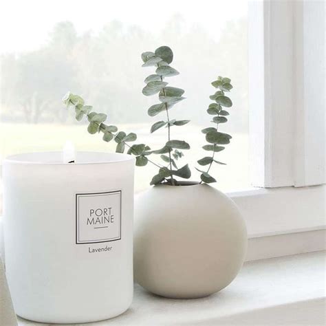 Purezento Cooee Beautiful Ceramic Decorative Vases with Unique Quality ...