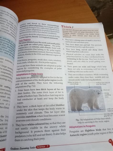 please give my answerhey friend I have to give presentation on the :1 ...