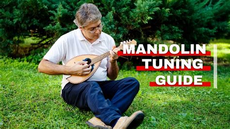 Image result for Mandolin Tuning Notes