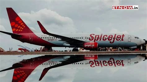 SpiceJet Share Price Today: 10% up in one day! 16% in one week - What's ...
