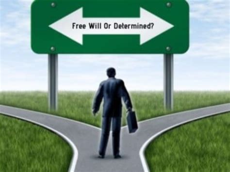 Free Will 的图像结果
