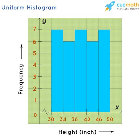 Histogram Activity 的图像结果