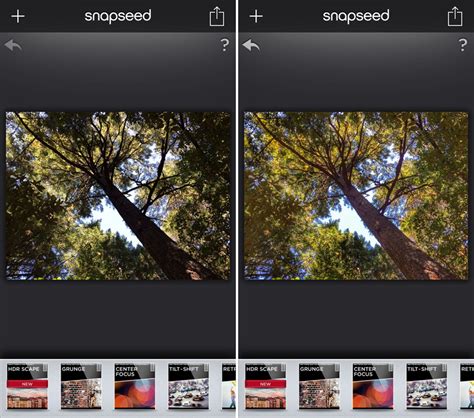 Image result for Snapseed for Computer