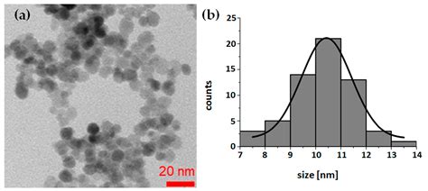 Trastuzumab Conjugated Superparamagnetic Iron Oxide Nanoparticles ...