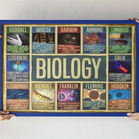 Biology Poster-Making 的图像结果